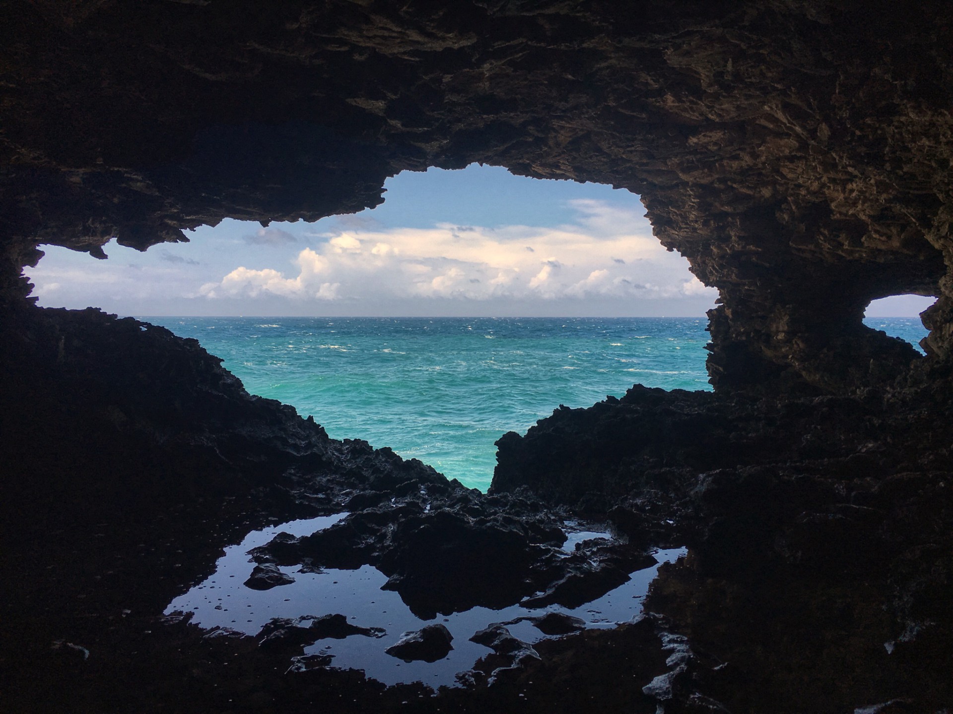 Animal Flower Cave barbados