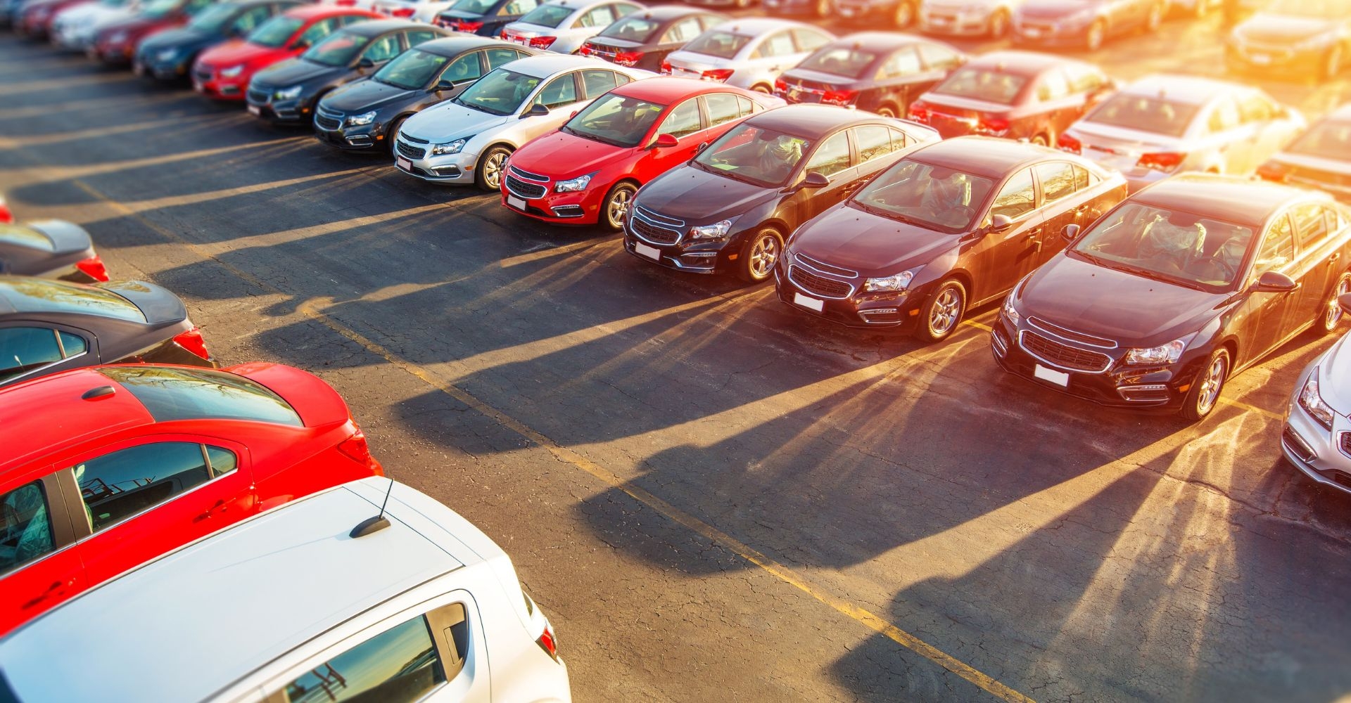 a large lot of rental cars lined up side by side