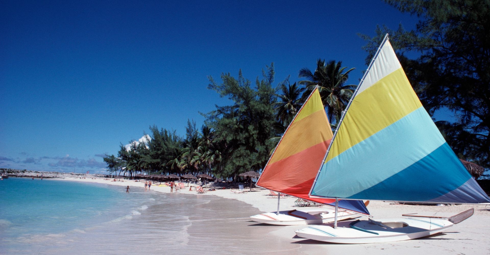 two sailboats with brightly colored sails on the sandy shore of the ocean 