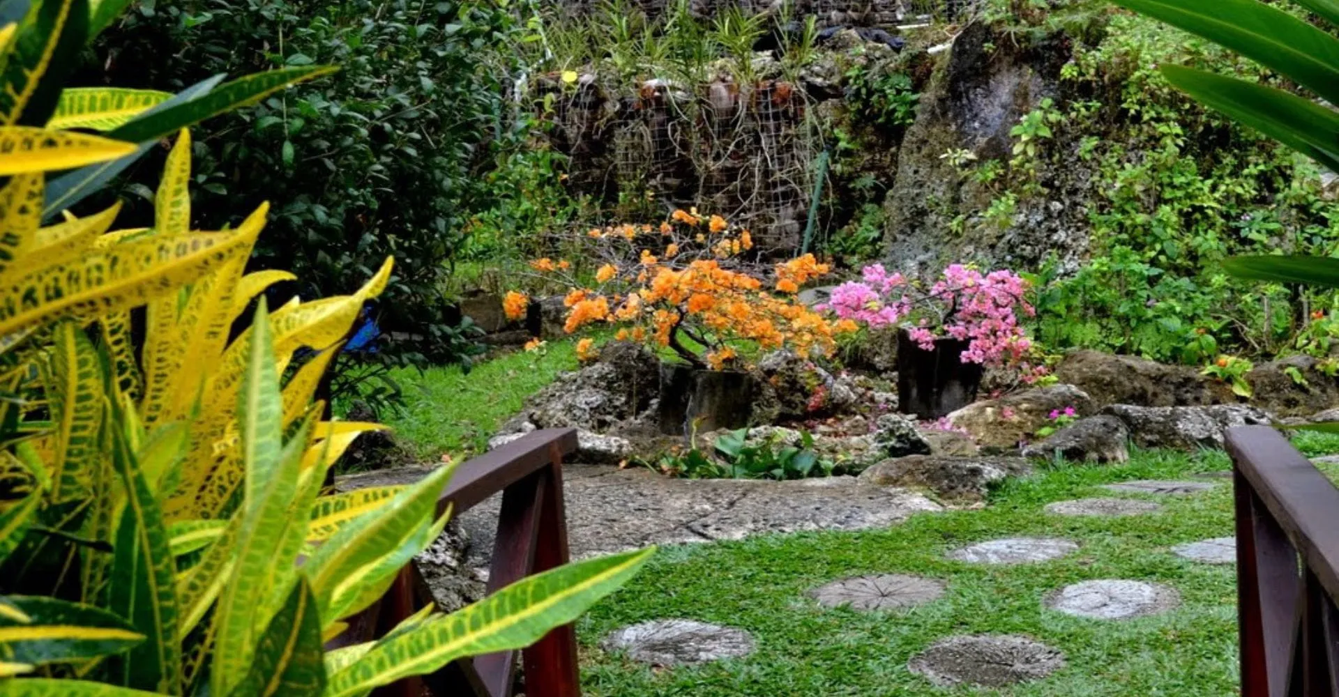 A serene garden featuring a stone path that leads to a cascading waterfall surrounded by lush greenery.
