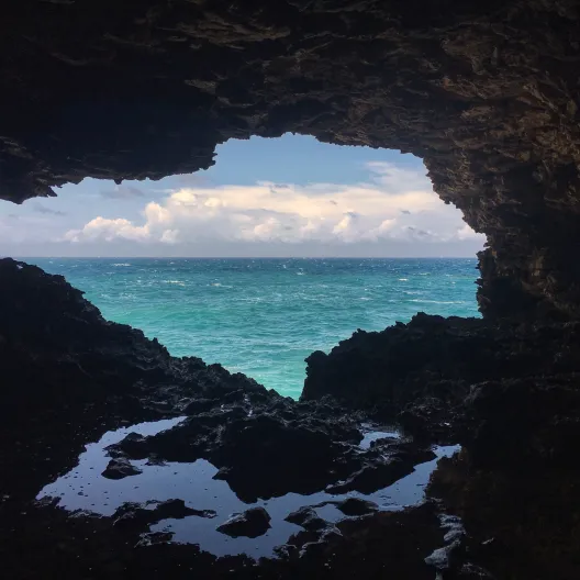 Animal Flower Cave barbados