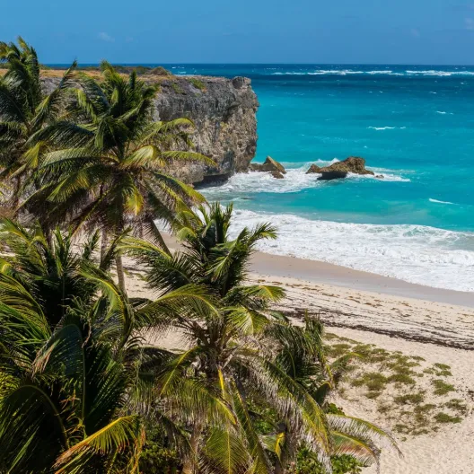 a secluded beach in Barbados framed by palm trees 
