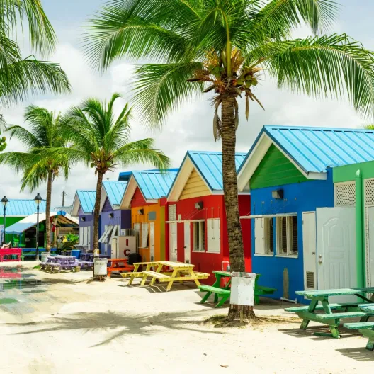 colorful houses and palm trees lining a dirt road on a sunny day in Barbados 