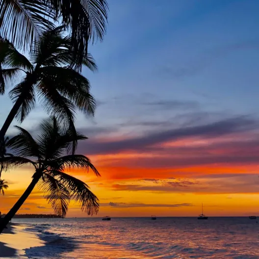 the ocean's edge and palm trees against a reddish orange sky at sunset