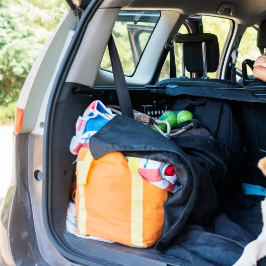 In the back of a car, a boy enjoys the company of his dog, both looking content and relaxed.