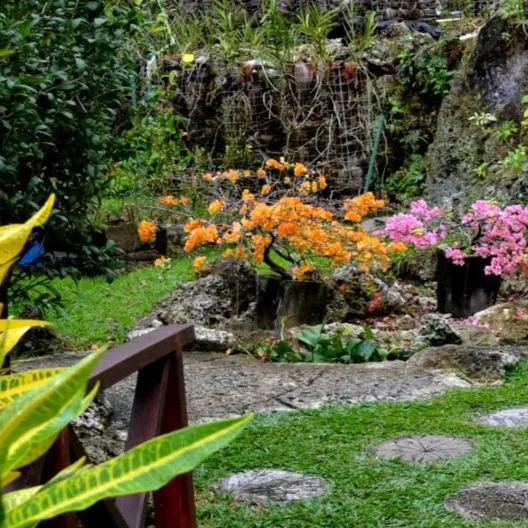 A serene garden featuring a stone path that leads to a cascading waterfall surrounded by lush greenery.